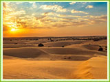 Thar Desert