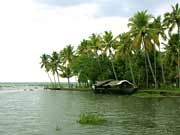 Kumarakom Bird Sanctuary, Kerala